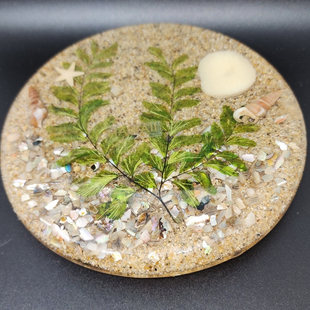 Vintage Abalone Shell a d Sage Resin Lucite Hawaiian Beach Trivet